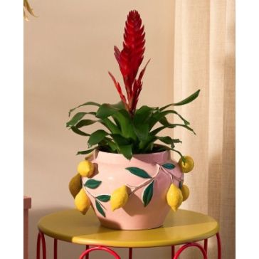 Decorative flower pot Melika, 1174278