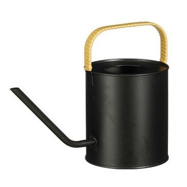 Metāla lejkanna, 1149707