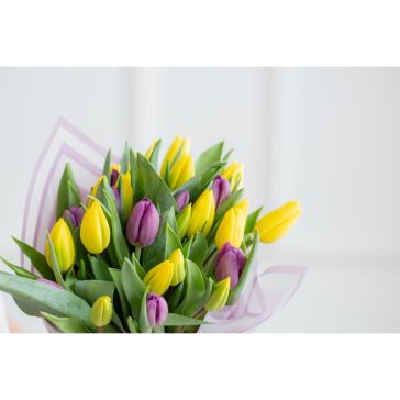 Ziedu pušķis SPRING HARMONY