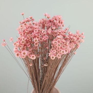 Kaltēti ziedi - Gliksija 50gr, GLI50ROSA