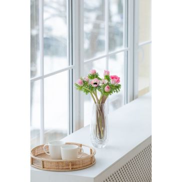 Anemones rozā XL IT