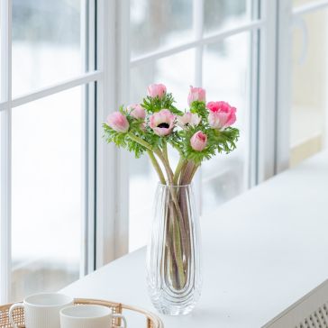 Анемоны розовые XL T