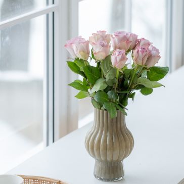 Rozes Memory Lane 10GAB|40CM