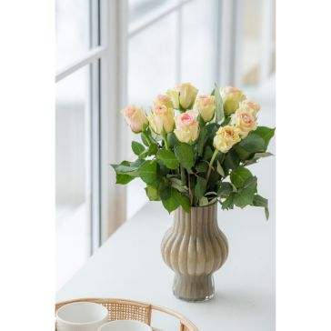 Rozes Top Gear 10GAB|40CM