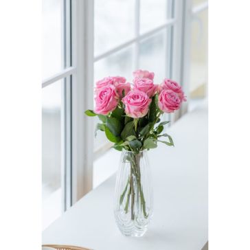 Rozes Wham 10GAB|40CM