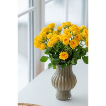 Spray roses Ramona (10PCS|40CM)