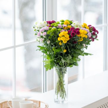 Хризантемы (помпон) Santini Pomponi Mix– 25ШТ