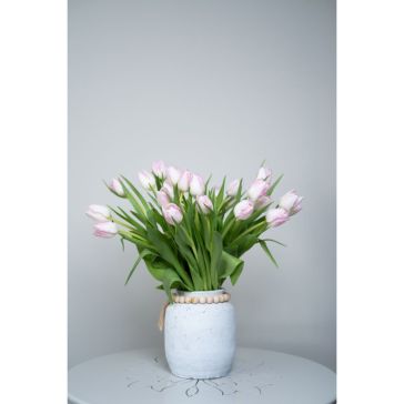 Tulpes 10GB First Class