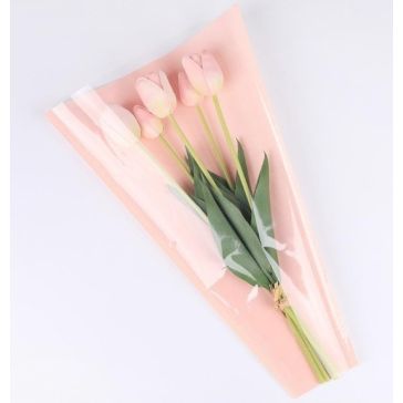 Sleeve Pink, GSL24205PK