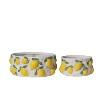 Decorative flower pot Limoni, 1HRR3