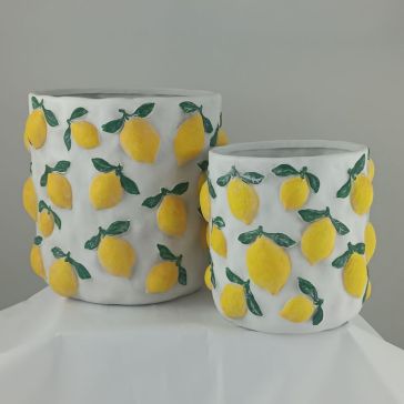 Decorative flower pot Limoni, 1HRR5