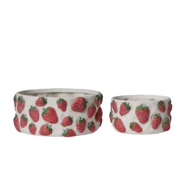 Decorative flower pot Fragole, 1HRR9