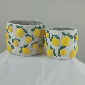 Decorative flower pot Limoni, 1HRR1