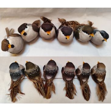 Птицы на клипе, 52CAN16870C