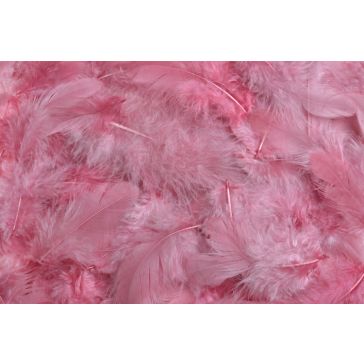 Dekoratīvās spalvas 10gr, HM0003_004