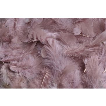 Dekoratīvās spalvas 10gr, HM0003_013