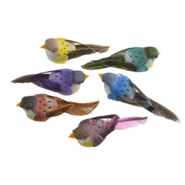 Птицы на клипе, 52CAN15518B