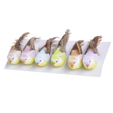 Птицы на клипе, 52CAN17003-6