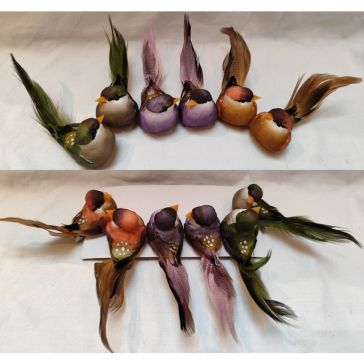 Птицы на клипе, 52CAN2033AB