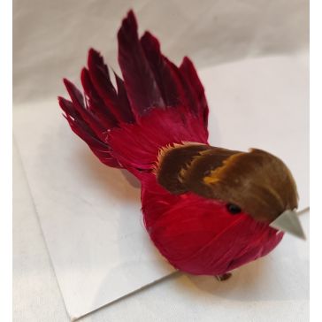 Птицы на клипе, 52CAN230256A_BUR