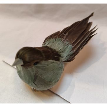 Птицы на клипе, 52CAN230256A_GR