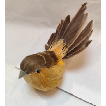 Птицы на клипе, 52CAN230256A_YL