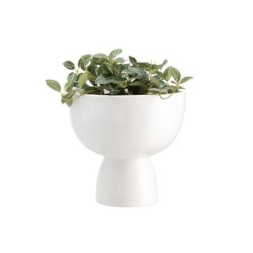 Dekoratīvs puķu pods - Cup, 644421