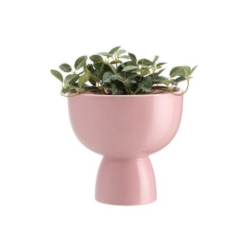 Dekoratīvs puķu pods - Cup, 644424