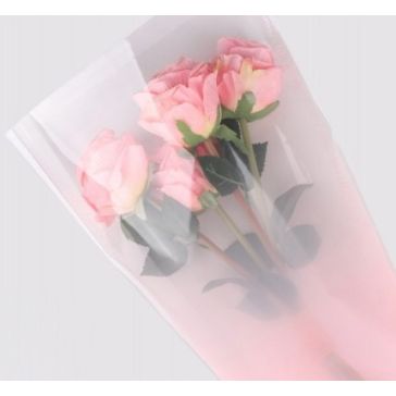 Sleeve Rozā, GSL24220PK