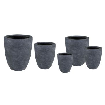 Puķu pods Arizona, 134107