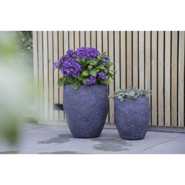 Puķu pods Arizona, 134110