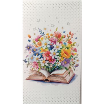 Naudas aploksne, A27345