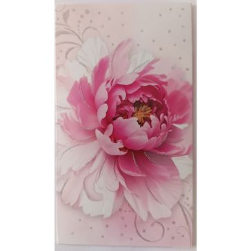 Naudas aploksne, A27363