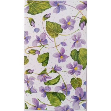 Naudas aploksne, A27020