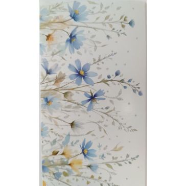 Naudas aploksne, A27348