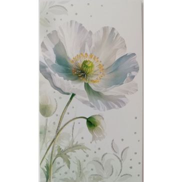 Naudas aploksne, A27366