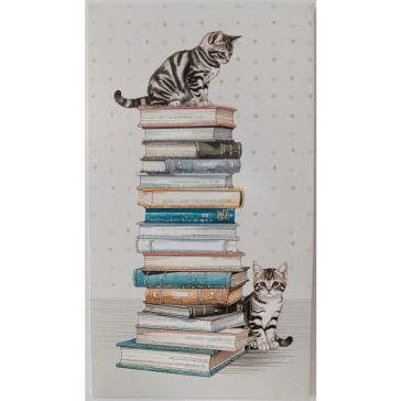 Naudas aploksne, A27346