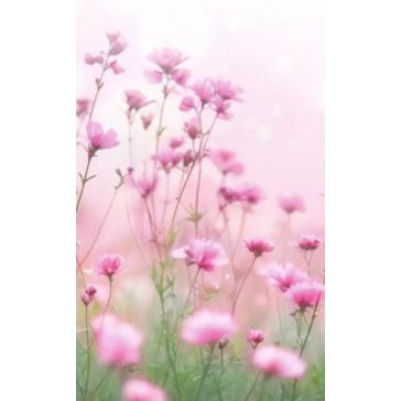 Apsveikuma dubultā kartiņa, A27171