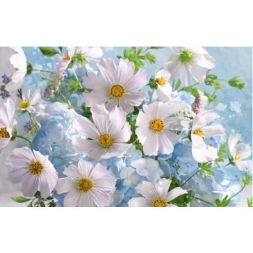 Apsveikuma dubultā kartiņa, A27132