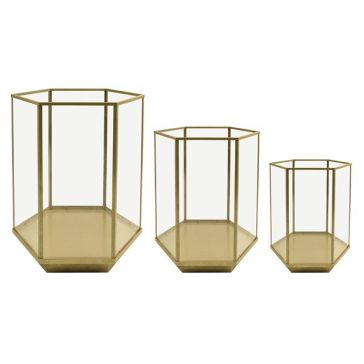 Стеклянная ваза - Гербарий, HF0221