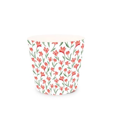 Dekoratīvs iepakojums telpaugam Eureka Red, 38U1221