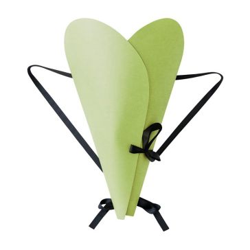 Decorative packaging-bag for bouquets Nomad, 52N5701