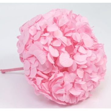 Stabilized hydrangea 32g, HRT/0430