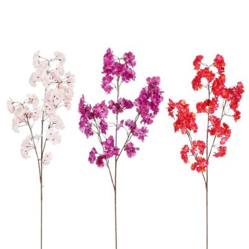 Ķir&scaron;u ziedu zars, 1102029