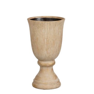 Dekoratīvā vāze Reina, 1192272