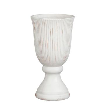 Dekoratīvā vāze Reina, 1192279