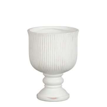 Dekoratīvā vāze Reina, 1192277