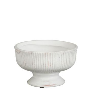 Dekoratīvā vāze Reina, 1192281