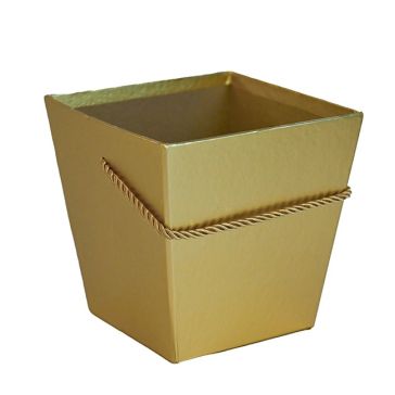 Dāvanu kaste, TRAPEZ10