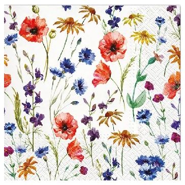 Salvetes, TL567000